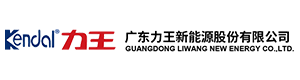 廣東(dōng)力王新(xīn)能(néng)源股份有(yǒu)限公(gōng)司